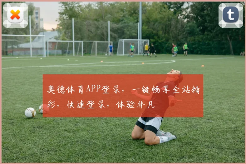 奥德体育APP登录，一键畅享全站精彩，快速登录，体验非凡