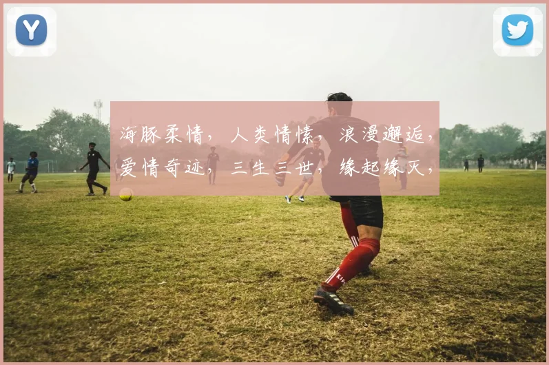 海豚柔情，人类情愫，浪漫邂逅，爱情奇迹，三生三世，缘起缘灭，情动心扉