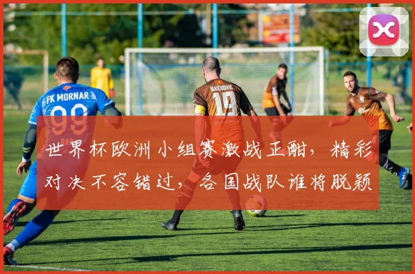 世界杯欧洲小组赛激战正酣，精彩对决不容错过，各国战队谁将脱颖而出