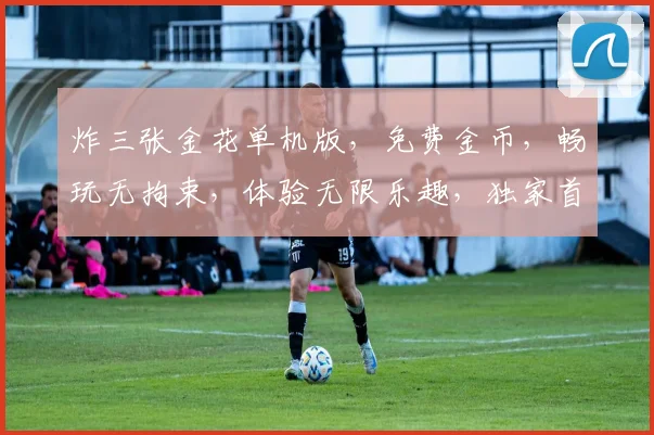 炸三张金花单机版，免费金币，畅玩无拘束，体验无限乐趣，独家首推