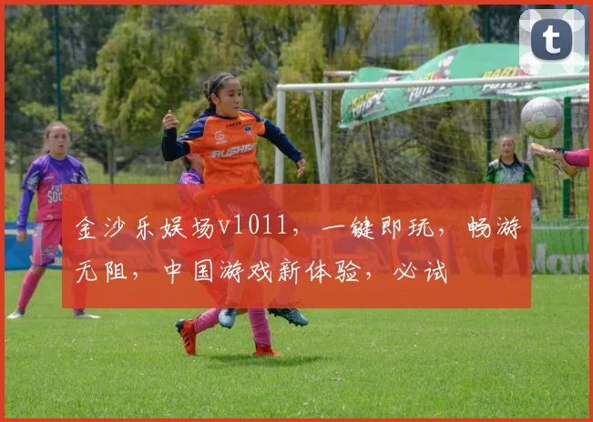金沙乐娱场v1011，一键即玩，畅游无阻，中国游戏新体验，必试